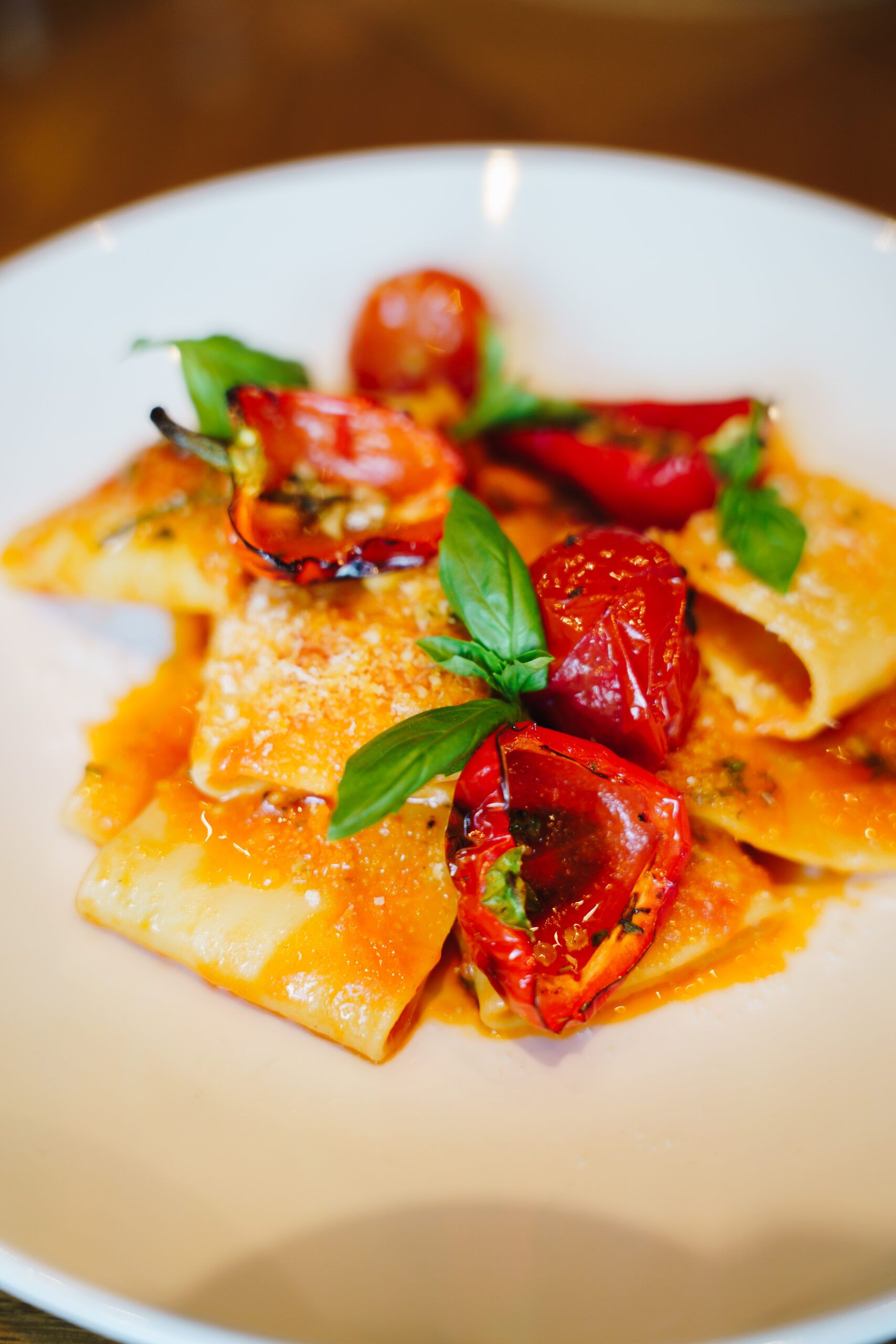 Paccheri pasta with roasted cherry tomatoes, fresh basil and grated cheese on a white plate